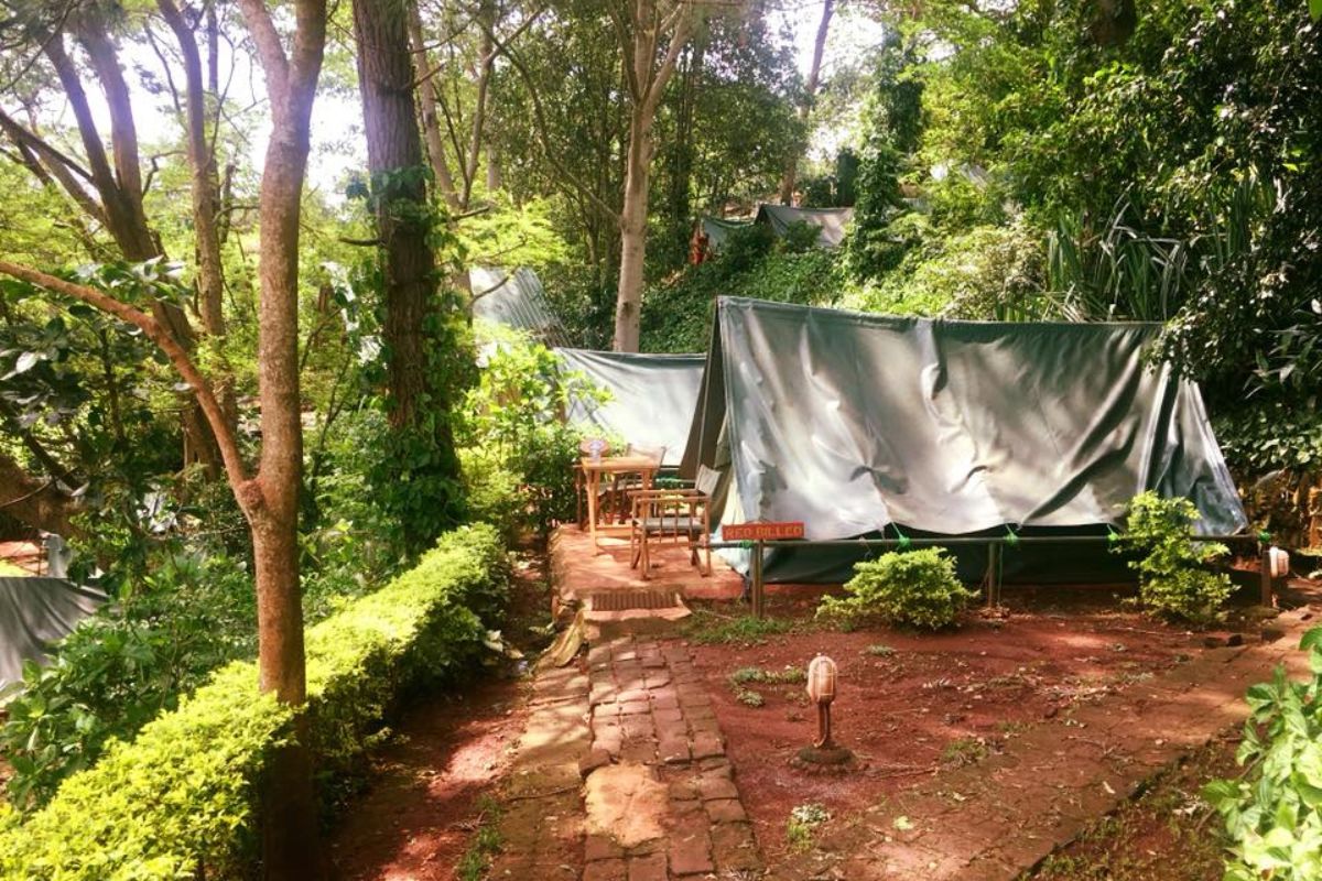 Zelte am Ufer des Nils in Jiinja während des Adventure Camps