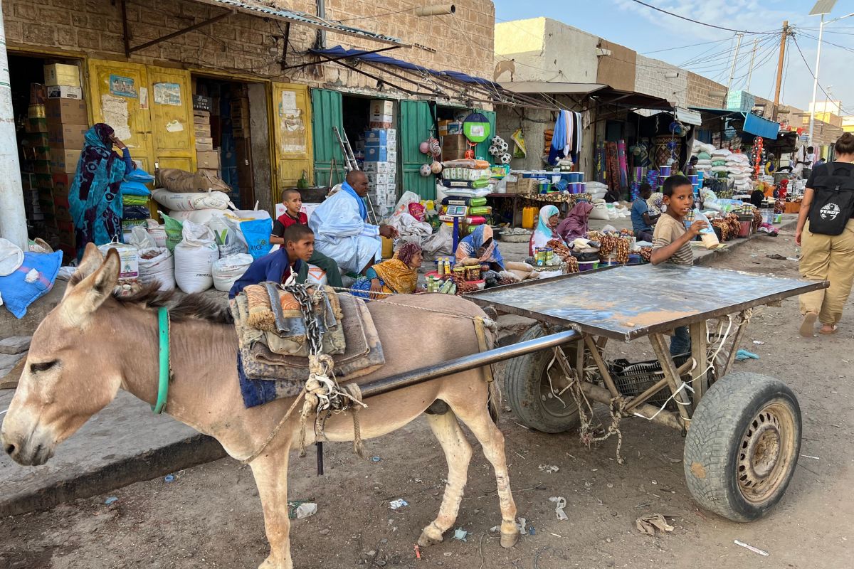 Eselkarre in den Straßen von Atar